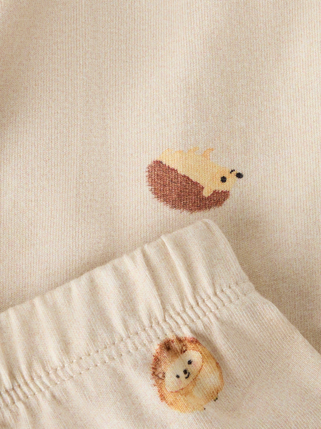 model_shot-front_full